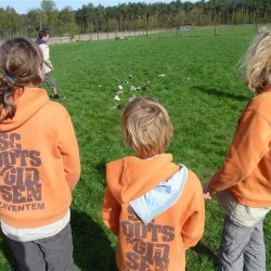 Koala 162 - Scouts en Gidsen Zaventem 